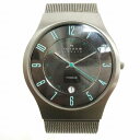 【中古】スカーゲン SKAGEN Ocean＆Forest チタニウム クオーツ アナログ 腕時計 J233XLTTME シルバーカラー系 ■SM0 メンズ 【ベクトル 古着】 240304