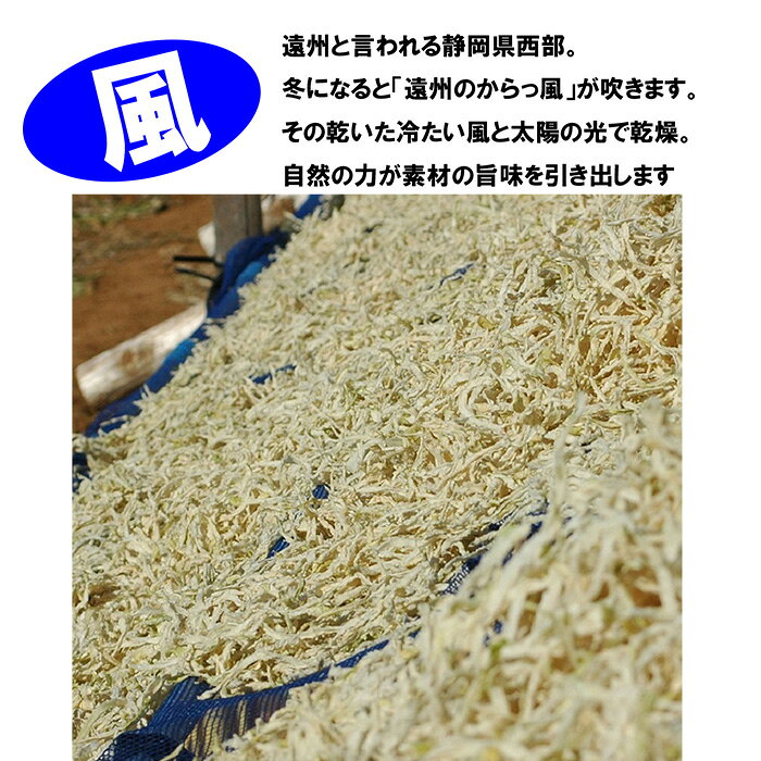 サンプル画像3