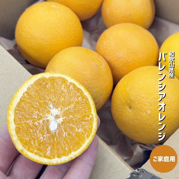 バレンシアオレンジ ご家庭用 1〜5kg 和歌山県産 オレンジ