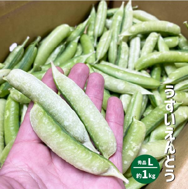 九州・和歌山産他 ”一寸豆（そら豆）” 大粒Lサイズ 約2kg【予約 4月以降】 送料無料