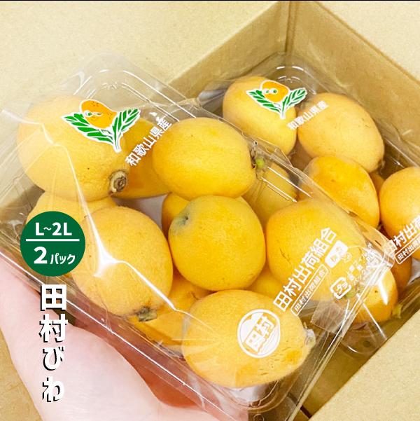 和歌山県産 びわ約500g（約250g×2パック）和歌山 田村 ビワ 送料無料 枇杷