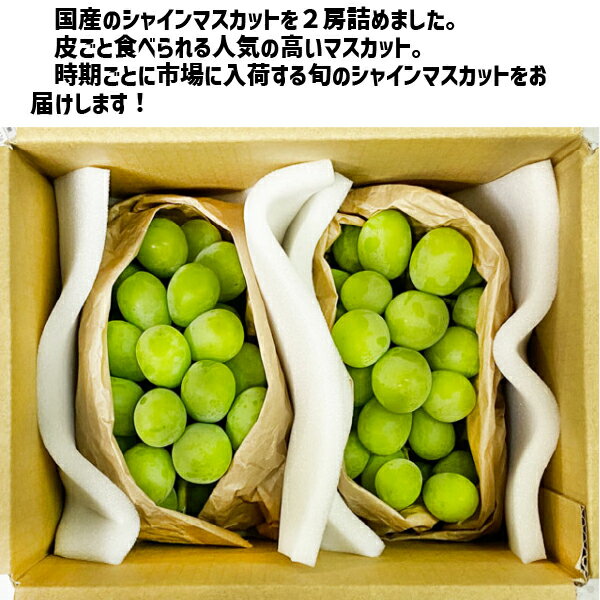 ���㥤��ޥ����å� 2˼����350g�ʾ��2˼�� ��̵���֤ɤ� ���㥤�� ������ Ĺ� �²λ��� ��