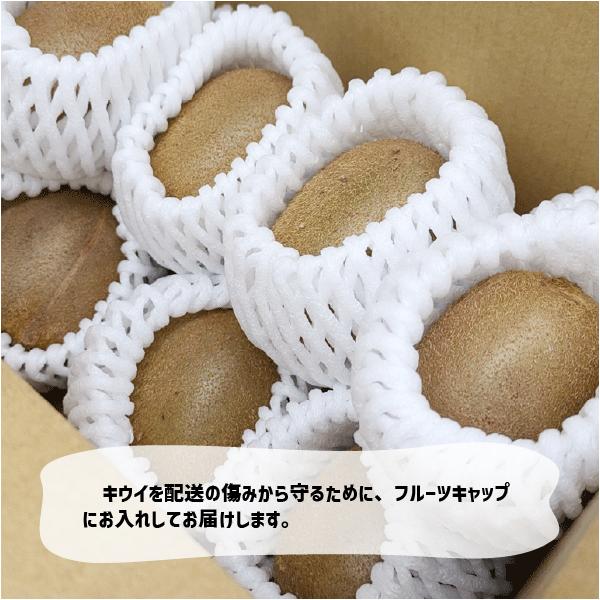 ������ �������� 500g��1kg �²λ����� �إ���� ������� �� ������