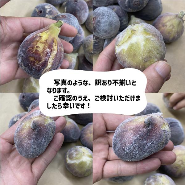 ���त������ ��1��5kg �²λ����� 2025ǯ�� ����� ����ݡ��� ������ �ù��� �������� ����