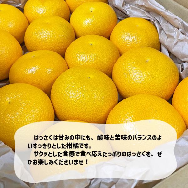 �Ϥä��� ��1��10kg ���� �²λ����� Ȭ�� �ϥå��� ���ե� £�� �²λ�