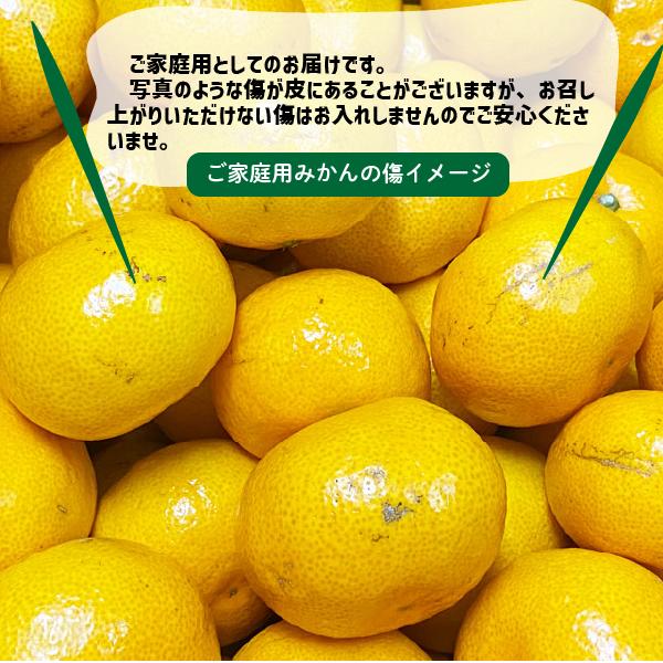 �ߤ��� ������ ��1��10kg S��L������ �²λ����� ͭ�� ������� �ߥ��� ��������