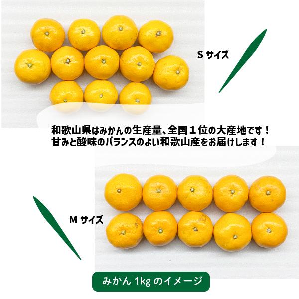 �ߤ��� ���� ��1��10kg S��L������ �²λ����� ͭ�� ������� �ߥ��� ���ե�