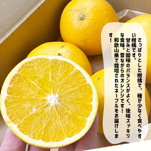 �͡��֥� 1��5kg �������� �²λ����� �͡��֥륪��� �����