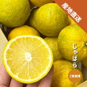 じゃばら 1〜5kg 和歌山県産 ご家庭用 生果 ジャバラ 邪払 訳あり