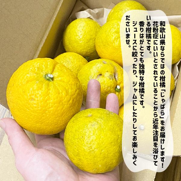 ����Ф� 1��5kg �²λ����� �������� ���� ����Х� ��ʧ ������