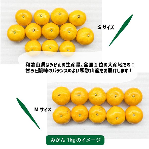 ¢�Ф��ߤ��� ���� 1kg��10kg �ߤ��� �²λ����� £�� ���ե�