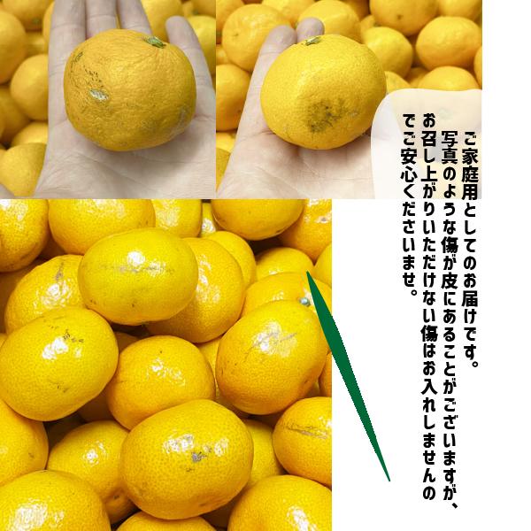 �ߤ��� ��γ ������ ��1kg��5kg 2S�������ʲ� �²λ����� ͭ�� ������� ���̸��� �ߥ��� ��������