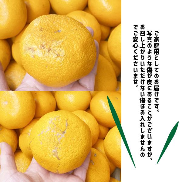 �ߤ��� ��� ������ ��1kg��5kg 2L�������ʾ� �²λ����� ͭ�� ������� ���̸��� �ߥ��� ��������