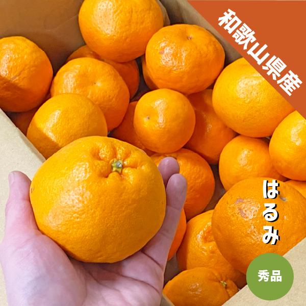 楽天市場】はるみ 秀の通販