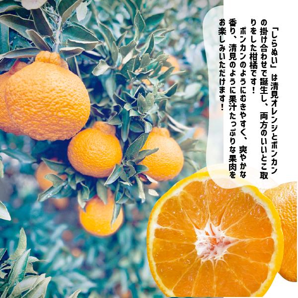 ����̤� �������� ��1kg����10kg ������ ���β� ���β�