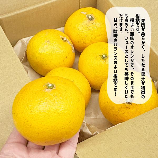 ��������� �������� ��1kg����10kg ������ ����� �²λ��� �����