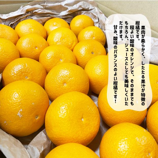 ��������� ���� ��1kg����10kg £�� ���ե� ����� �²λ��� �����