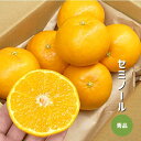 セミノール 約1〜5kg 秀品 和歌山県産 オレンジ みかん ギフト 贈答 和歌山