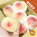 桃 4玉~箱込み4kg 訳あり 和歌山県産 旬の桃 ご家庭用 御中元 白鳳 川中島 清水 白桃