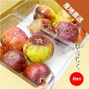 いちじく 訳あり 2~8パック (1パック約350g) 和歌山県産 傷 めくれ イチジク 無花果 紀の川市