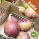 いちじく 2~8パック (1パック約300g) 秀品 和歌山県産 イチジク 無花果 紀の川市