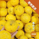ゆず 訳あり 約1〜5kg 和歌山県産 本ゆず 柚子 冬至 ご家庭用