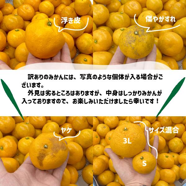 ͭ�Ĥߤ��� ������ 2kg��5kg��10kg ���������� �²λ����� �ߤ���