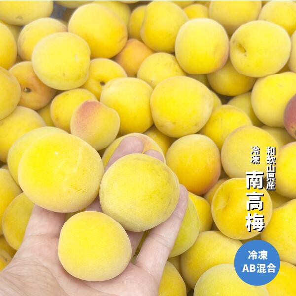 楽天市場】完熟 梅 10キロの通販