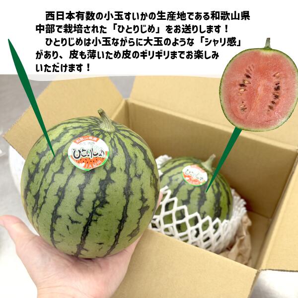 小玉すいか ひとりじめ 2S〜Sサイズ 和歌山県産 すいか
