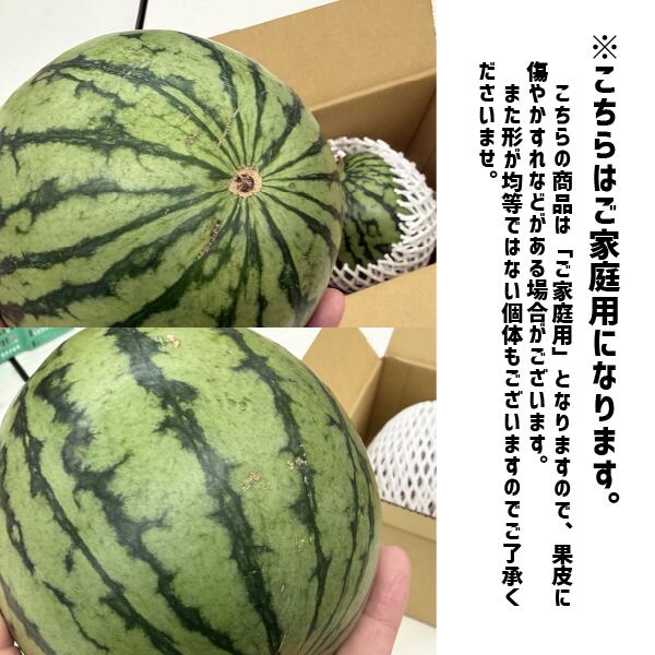 小玉すいか ひとりじめ 2S〜Sサイズ 和歌山県産 すいか