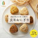 管理栄養士監修 添加物不使用 国産野菜 1個100g 手作り 無農薬 有機 冷凍 玄米 おにぎり 玄米おにぎり 12個セット 全6種×各2個 おむすび 有機玄米 冷凍食品 冷凍惣菜 ダイエット ファスティング 飲み過ぎ 食欲不振 完全栄養食 完全食