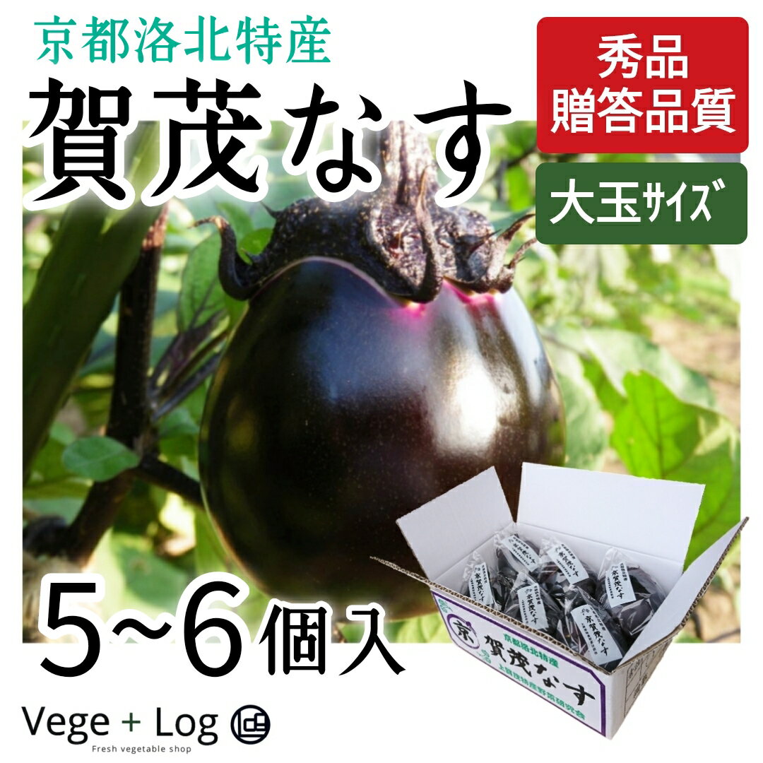 京都洛北特産 賀茂なす 秀品 大玉 Lまたは2Lサイズ 5～6個入 1箱 京ブランド野菜 高級野菜 上賀茂特産野菜研究会 ギフト 贈答品質 お中元 お供え 本州送料無料