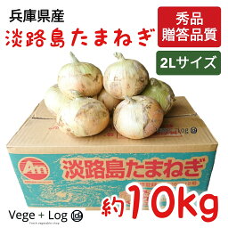 兵庫県産 淡路島たまねぎ 秀品 2Lサイズ 約10kg ギフト用 贈答品質 本州送料無料 京都卸売市場より 玉葱 淡路島産