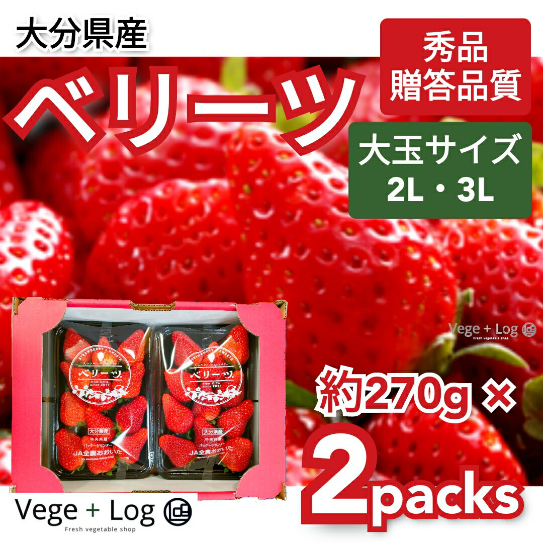 大分県産 高糖度 いちご 「ベリーツ」秀品 大玉 2Lまたは3Lサイズ サイズおまかせ 約270g×2パック ギフト用 贈答品質 高糖度ブランドいちご 本州送料無料