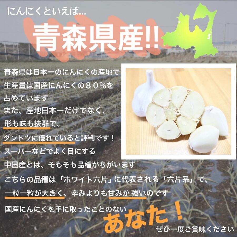 【送料無料】むき10kg(1kg×10) 青森県産にんにく 令和4年度産 産地直送 お得 国産 ニンニク 白玉王 栄養満点 クール便 3