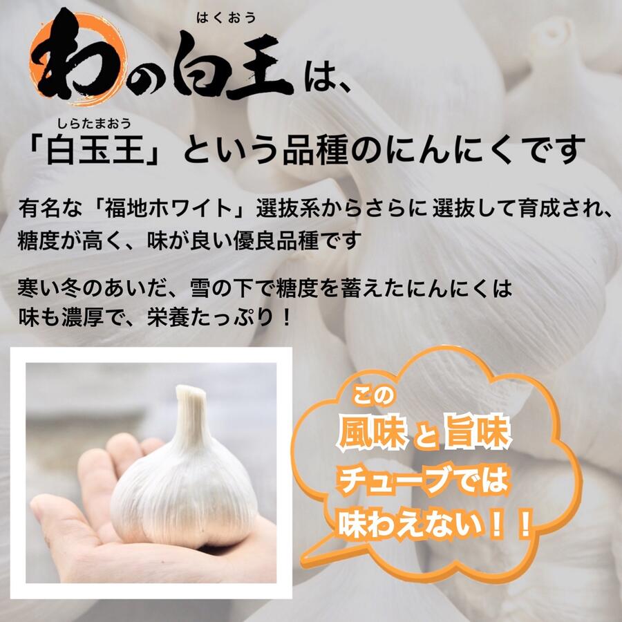 お待たせ致しました！今年度新物です！《2kg以上送料無料！》A・B込Lサイズ1kg 青森県産にんにく白玉王 令和4年度産 産地直送 大粒 大玉 上質 高品質 黒にんにく作り 栄養満点