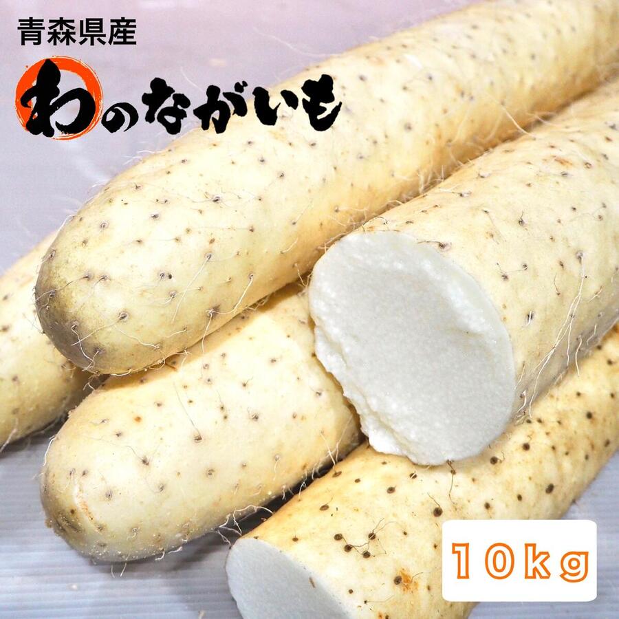 【送料無料】ながいも 10kg 青森県産 国産 やまいも とろろ 産地直送 贈答用 家庭用 まとめ買い 箱 母の日 父の日