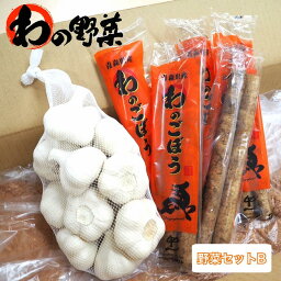 【送料無料】青森県産 健康野菜セットB 3種 産地直送 詰め合わせ 野菜 にんにく ごぼう 長芋