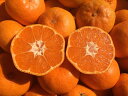 【送料無料】福岡県 あま〜いあま〜い山川みかん濃厚コクあり★...