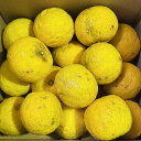 【グラックフライデー応援価格3200→1999円!!】 ゆず 約2kg(28~10個) 福岡県産 自然のまんま 柚子 化学肥料農薬不使用 種子は化粧水にどうぞ!毎日の美容と健康に 無農薬 ゆず風呂もいいですよ!訳あり 野菜ソムリエ&フルーツマイスター