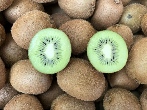 【送料無料】キウイフルーツ　3キログラム　　福岡県産のサムネイル