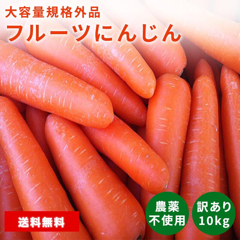 【送料無料】あす楽　フルーツにんじん 10kg 訳あり 規格外品 2024年 土づくり化学肥料農薬不使用 箱込約10kg以上 人参 ニンジン べジップル