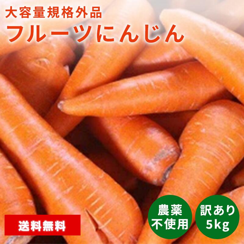 nacona 人参パウダー 1kg 無添加 無着色 マラソン中ポイント20倍国産にんじん使用 野菜ファインパウダー 5セット アレルゲンフリー 緑黄色野菜 お菓子作り アイデア料理 キャラ弁