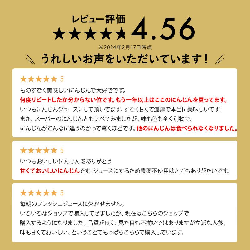 【送料無料】あす楽　フルーツにんじん 10kg 訳あり 規格外品 2024年 土づくり化学肥料農薬不使用 箱込約10kg以上 人参 ニンジン べジップル 3