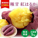 ＼期間限定！2,980円→2,580円！ 4月4日 20:00～ 11日 9:59 紅はるか 5kg さつまいも サツマイモ べにはるか 熊本県産 九州産 完熟...