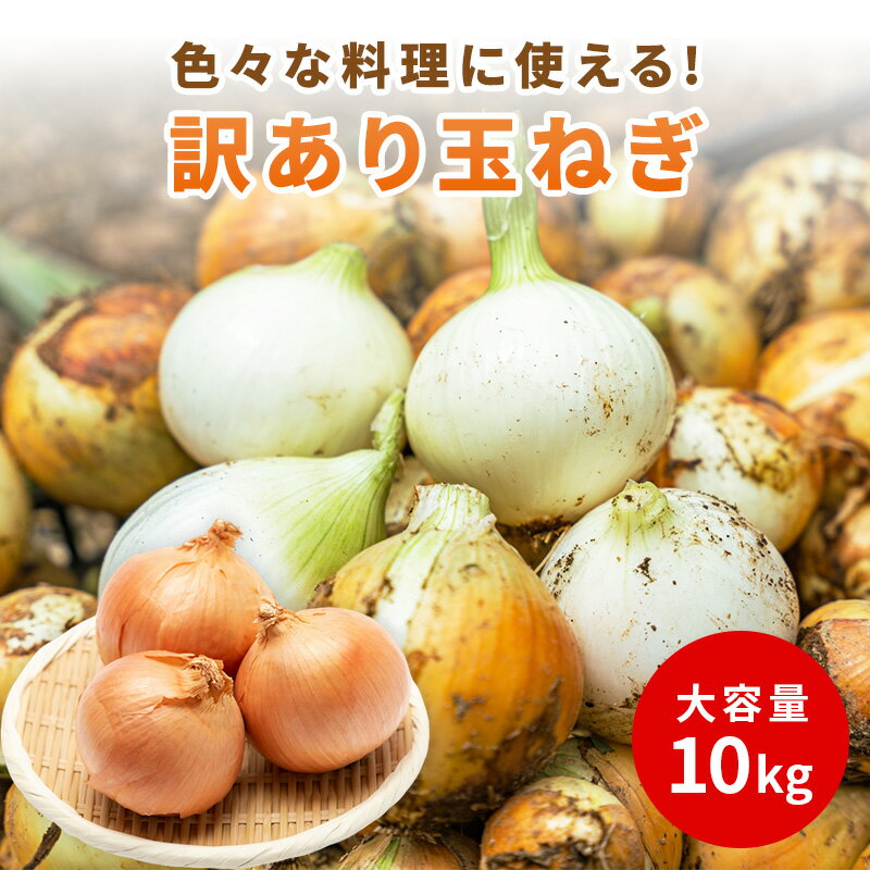 玉ねぎ 訳あり 10kg 送料無料 たまねぎ 10kg わけあり キズや変形など含む場合あります べジップル カレー シチュー バーベキュー タマネギ 野菜 オニオン オニオンスープ