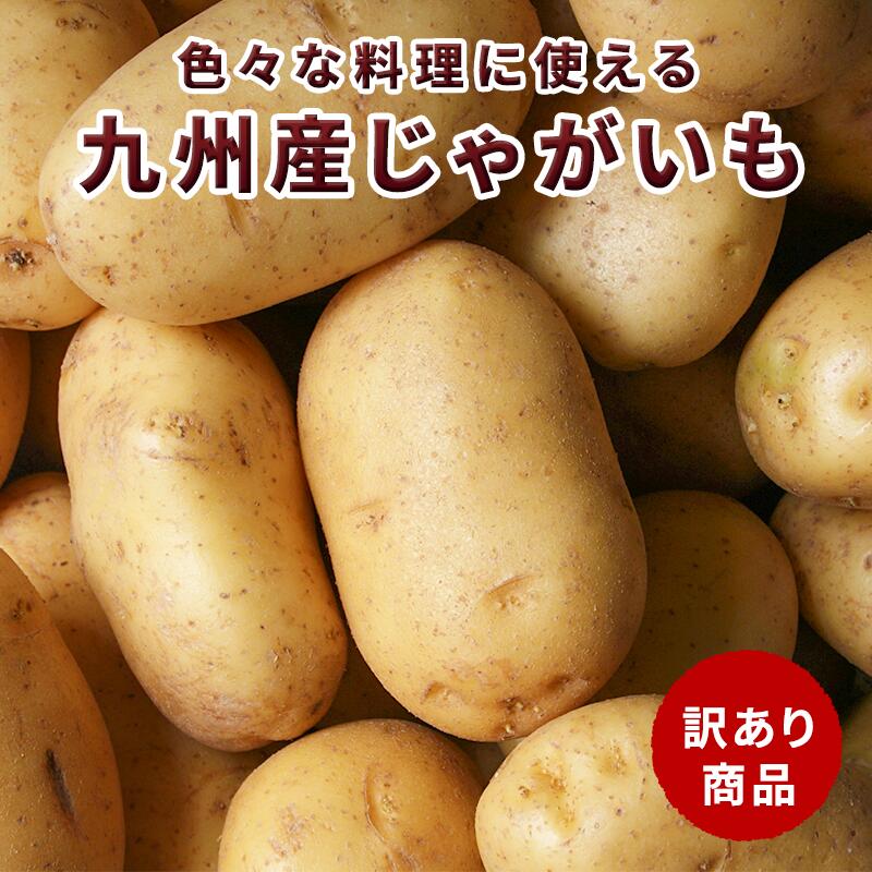 ＼10kgが3,800円 → 2,980円！ 16日 9:59迄 /【送料無料】国産　じゃがいも　新じゃがいも 10kg 5kg 訳あり 大容量 男爵芋 メークイン カレーやシチューなどの料理に大活躍