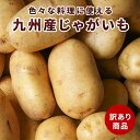 国産　じゃがいも　新じゃがいも 10kg 5kg 訳あり 大容量 男爵芋 メークイン カレーやシチューなどの料理に大活躍