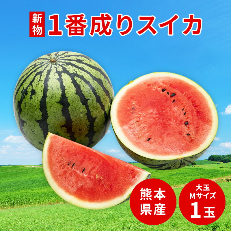 【最大2000円OFFクーポン】熊本産　夢大地　すいか 秀品　Lサイズ　6kg　1玉入 スイカ 熊本県産西瓜　贈答用　母の日　父の日　プレゼント　フルーツ　果物　お中元・ギフト・すいかギフト・ 西瓜 送料無料