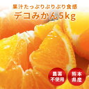 【送料無料】デコポン 箱込約5kg以上(およそ25〜13玉) デコポンと同品種 不知火 熊本県産 熟成越冬蔵出し みかん ご家庭用 ギフト 福利厚生 フルーツマ...